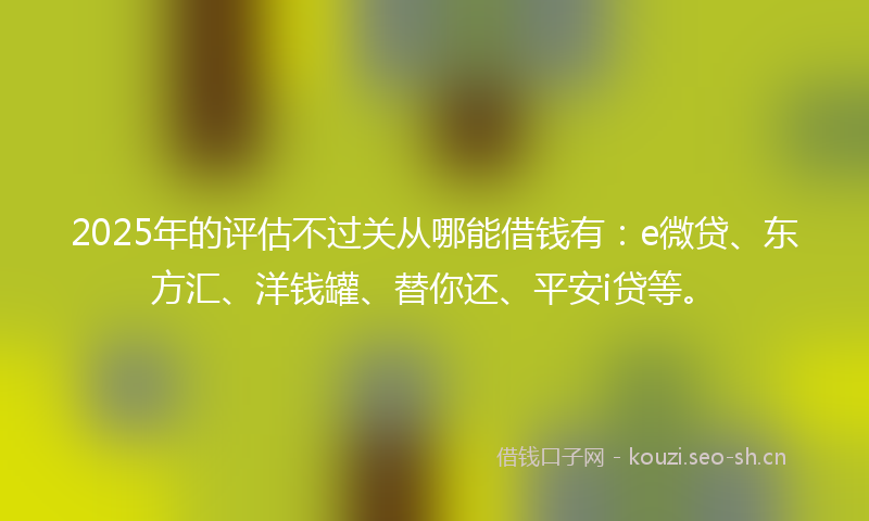 2025年的评估不过关从哪能借钱有：e微贷、东方汇、洋钱罐、替你还、平安i贷等。