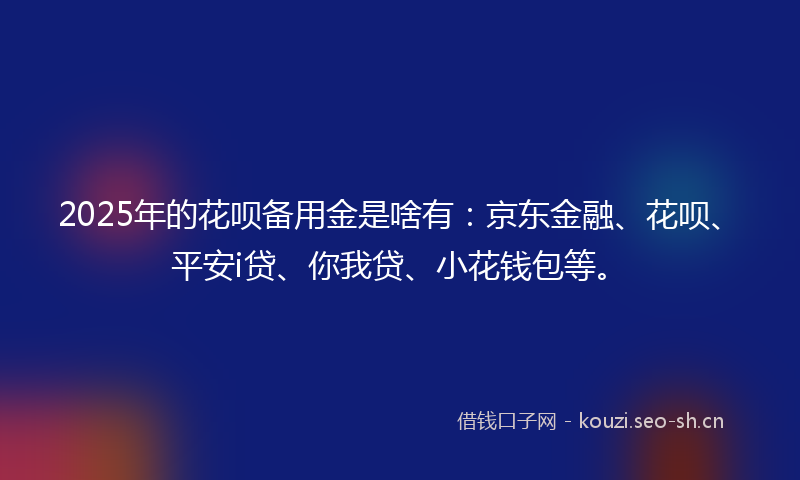 2025年的花呗备用金是啥有：京东金融、花呗、平安i贷、你我贷、小花钱包等。