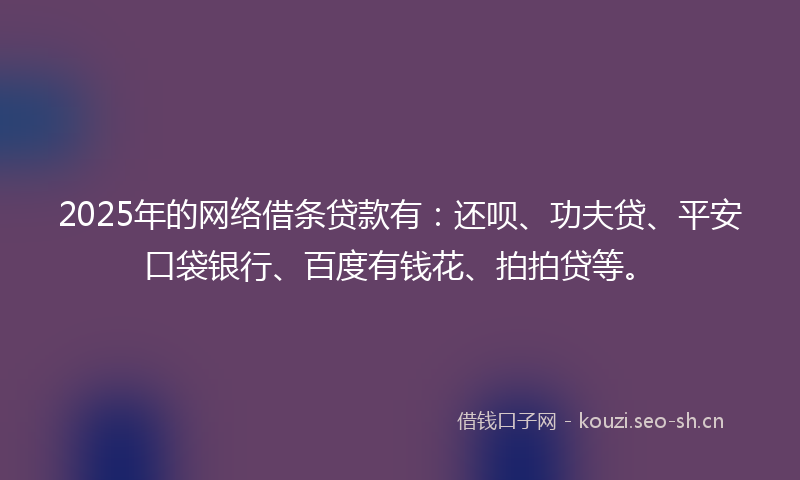 2025年的网络借条贷款有：还呗、功夫贷、平安口袋银行、百度有钱花、拍拍贷等。