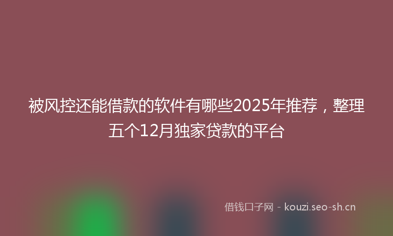 被风控还能借款的软件有哪些2025年推荐，整理五个12月独家贷款的平台