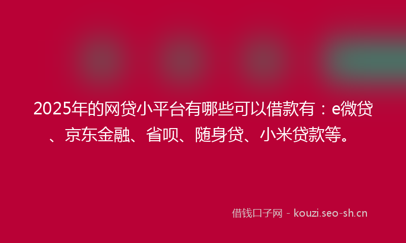 2025年的网贷小平台有哪些可以借款有：e微贷、京东金融、省呗、随身贷、小米贷款等。