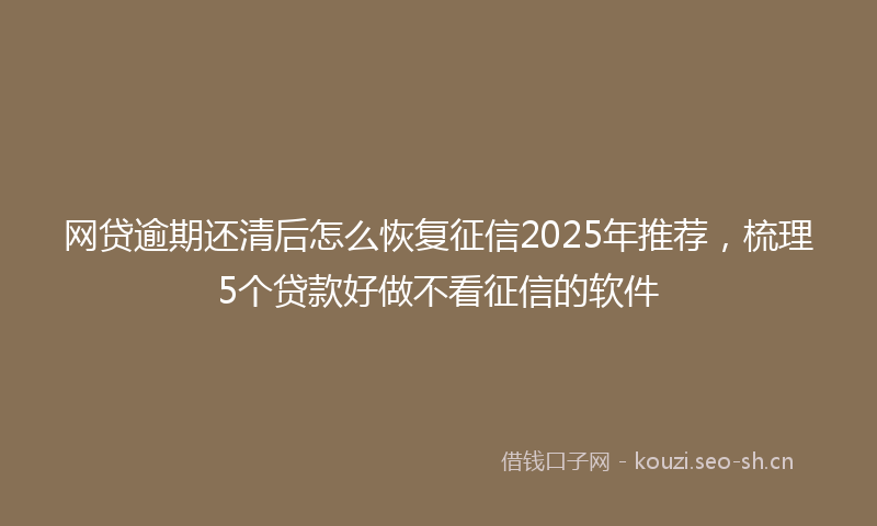 网贷逾期还清后怎么恢复征信2025年推荐，梳理5个贷款好做不看征信的软件