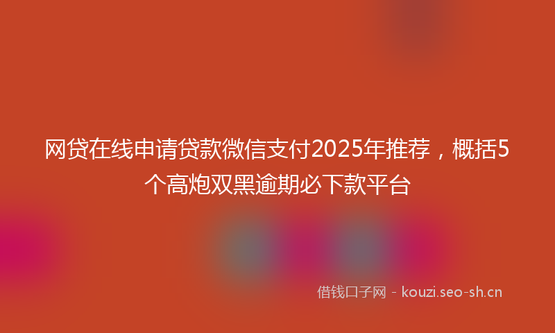 网贷在线申请贷款微信支付2025年推荐，概括5个高炮双黑逾期必下款平台