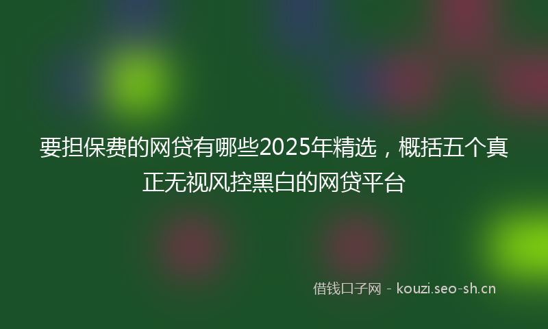 要担保费的网贷有哪些2025年精选，概括五个真正无视风控黑白的网贷平台