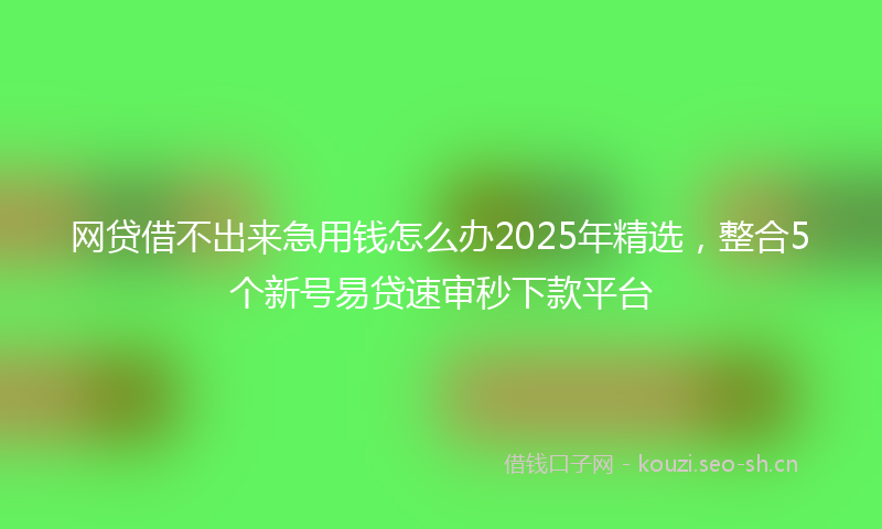 网贷借不出来急用钱怎么办2025年精选，整合5个新号易贷速审秒下款平台