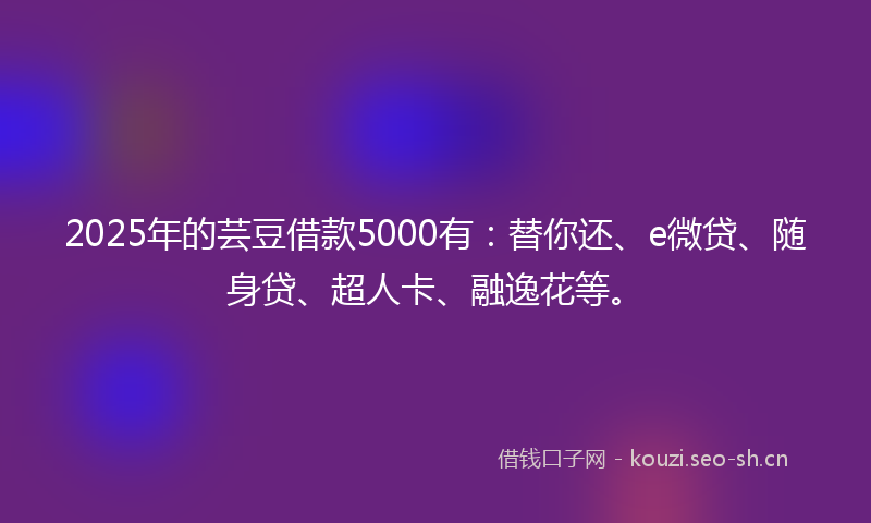 2025年的芸豆借款5000有：替你还、e微贷、随身贷、超人卡、融逸花等。