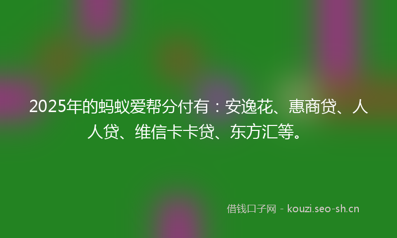 2025年的蚂蚁爱帮分付有:安逸花、惠商贷、人人贷、维信卡卡贷、东方汇等。