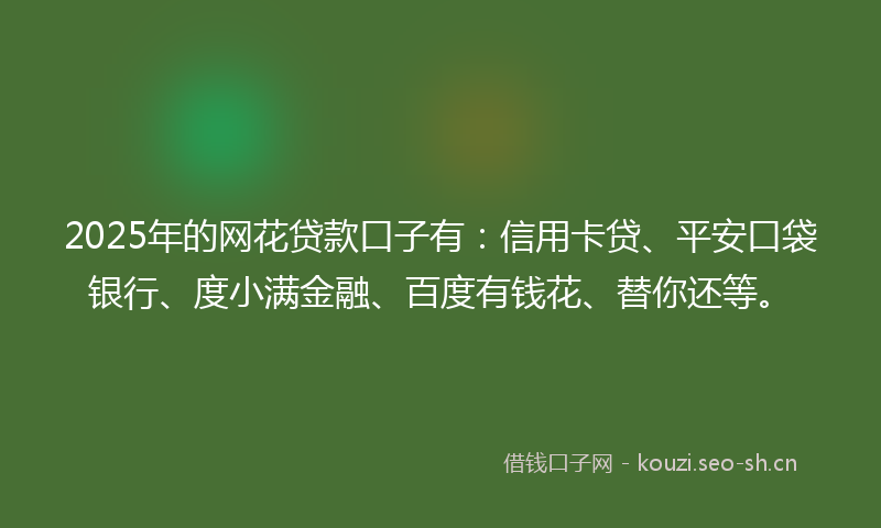 2025年的网花贷款口子有：信用卡贷、平安口袋银行、度小满金融、百度有钱花、替你还等。