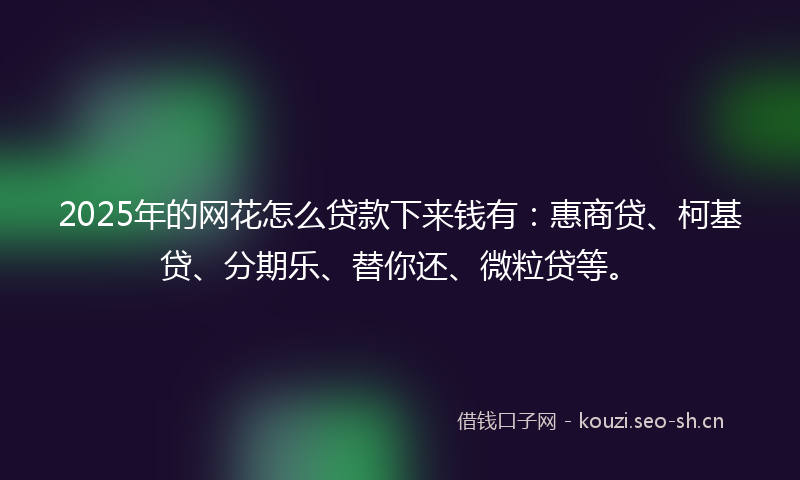 2025年的网花怎么贷款下来钱有：惠商贷、柯基贷、分期乐、替你还、微粒贷等。