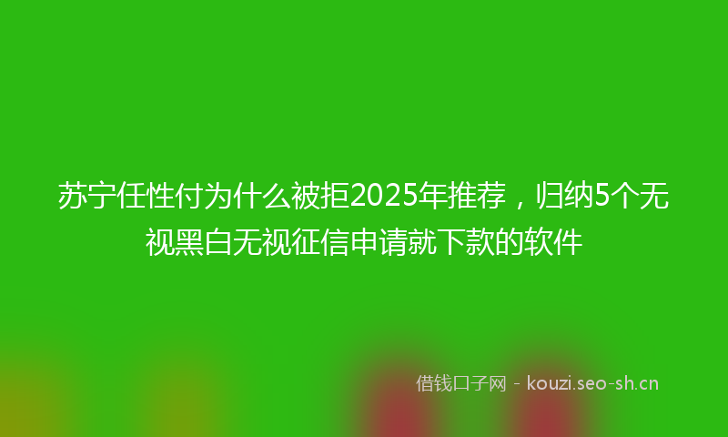 苏宁任性付为什么被拒2025年推荐，归纳5个无视黑白无视征信申请就下款的软件