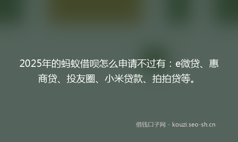 2025年的蚂蚁借呗怎么申请不过有：e微贷、惠商贷、投友圈、小米贷款、拍拍贷等。