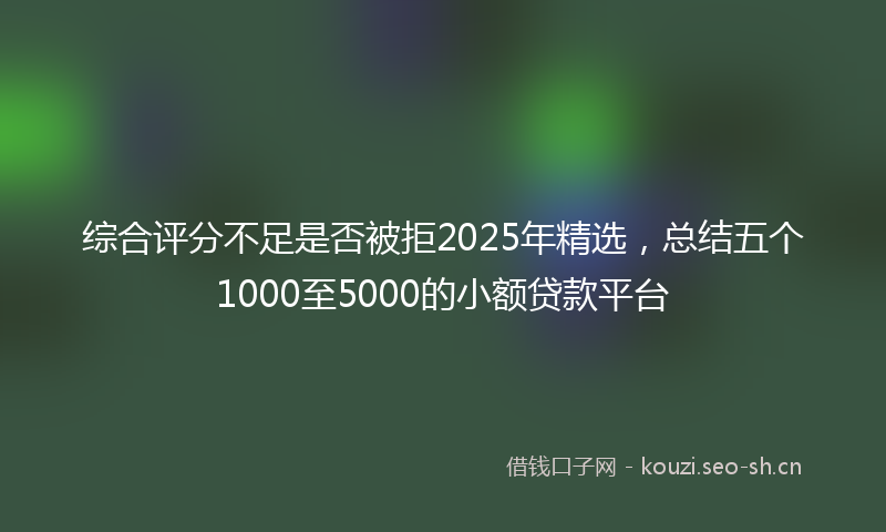 综合评分不足是否被拒2025年精选，总结五个1000至5000的小额贷款平台