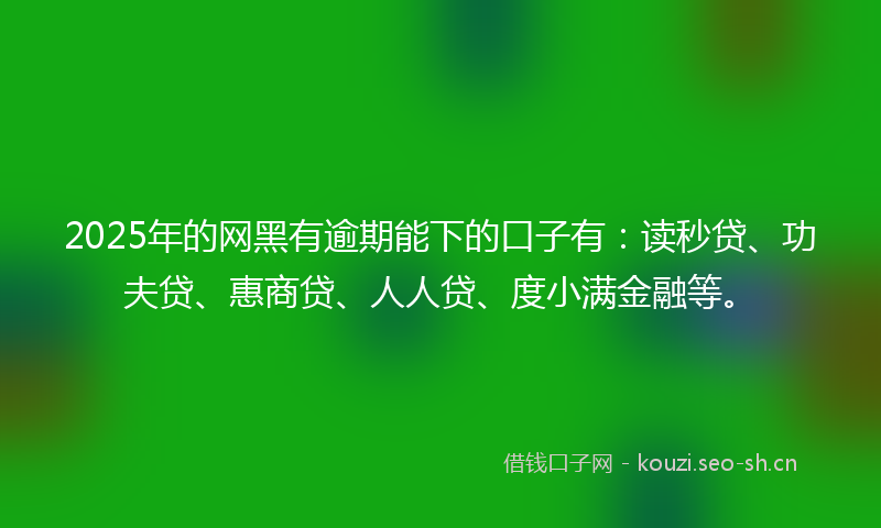 2025年的网黑有逾期能下的口子有：读秒贷、功夫贷、惠商贷、人人贷、度小满金融等。