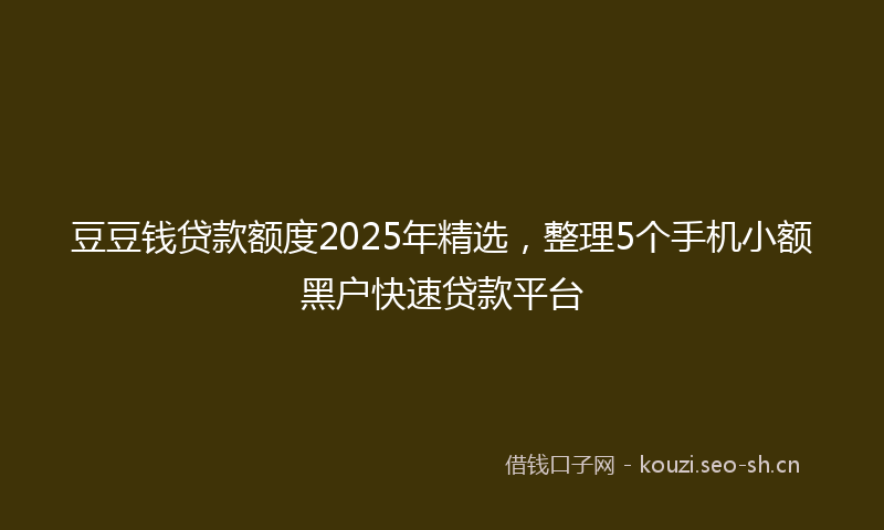 豆豆钱贷款额度2025年精选，整理5个手机小额黑户快速贷款平台