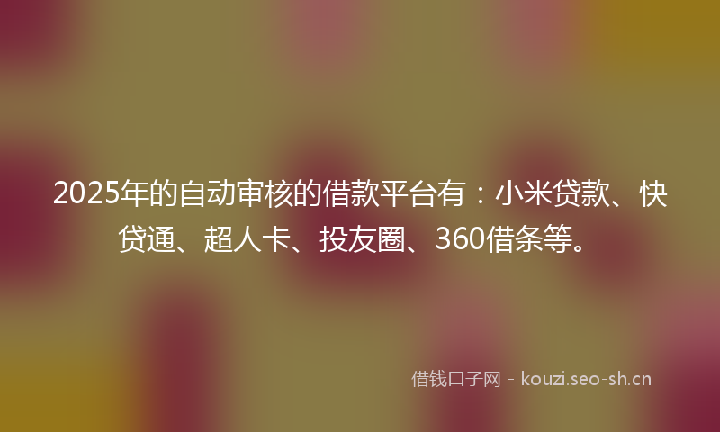 2025年的自动审核的借款平台有：小米贷款、快贷通、超人卡、投友圈、360借条等。