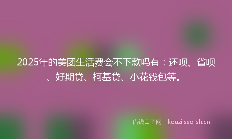 2025年的美团生活费会不下款吗有：还呗、省呗、好期贷、柯基贷、小花钱包等。