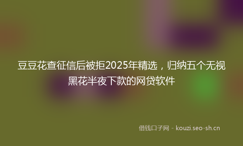 豆豆花查征信后被拒2025年精选，归纳五个无视黑花半夜下款的网贷软件