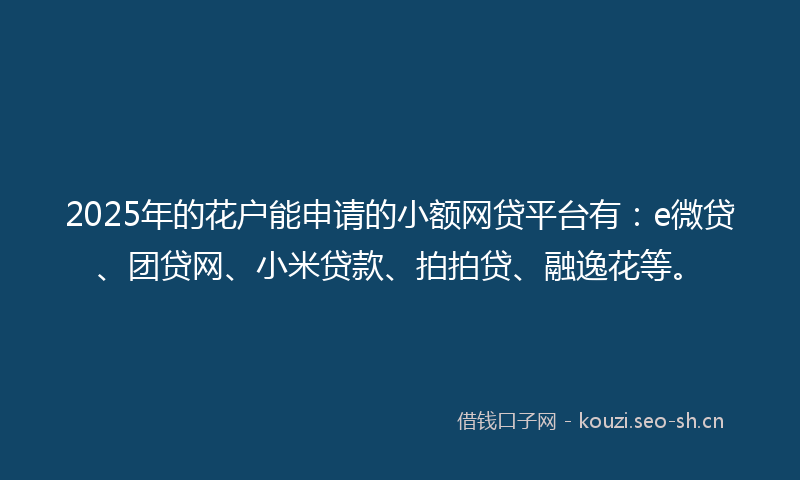 2025年的花户能申请的小额网贷平台有：e微贷、团贷网、小米贷款、拍拍贷、融逸花等。
