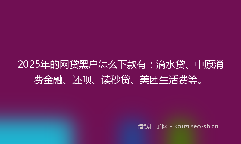 2025年的网贷黑户怎么下款有：滴水贷、中原消费金融、还呗、读秒贷、美团生活费等。