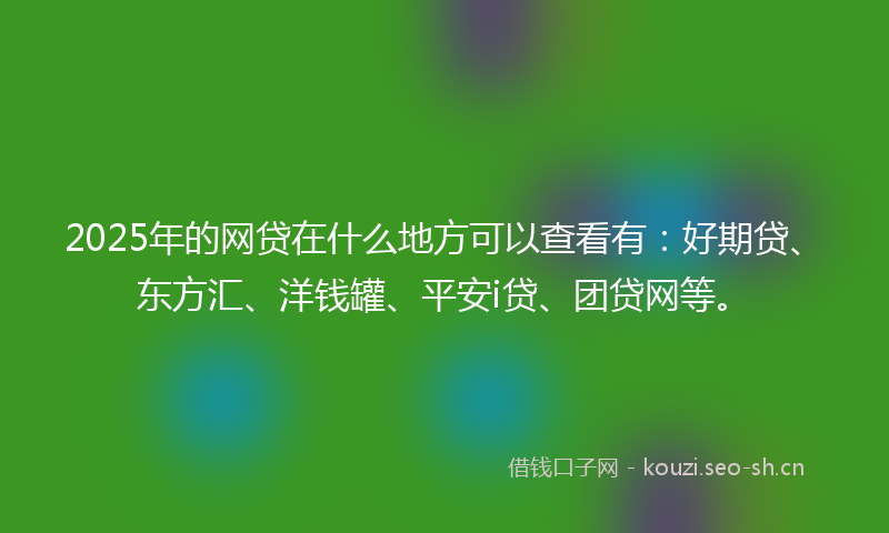 2025年的网贷在什么地方可以查看有：好期贷、东方汇、洋钱罐、平安i贷、团贷网等。