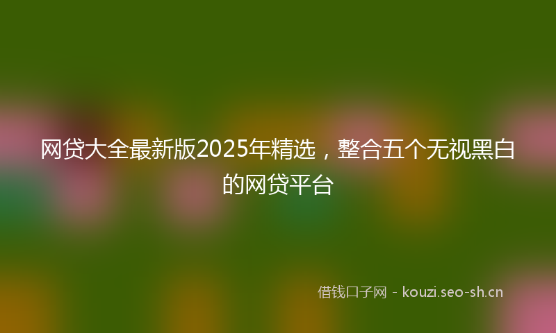 网贷大全最新版2025年精选，整合五个无视黑白的网贷平台