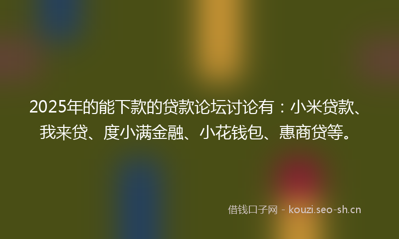 2025年的能下款的贷款论坛讨论有：小米贷款、我来贷、度小满金融、小花钱包、惠商贷等。