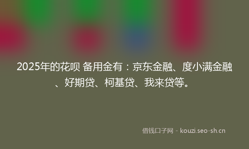 2025年的花呗 备用金有：京东金融、度小满金融、好期贷、柯基贷、我来贷等。