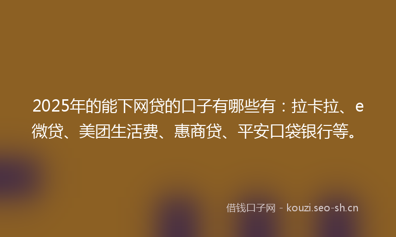 2025年的能下网贷的口子有哪些有：拉卡拉、e微贷、美团生活费、惠商贷、平安口袋银行等。