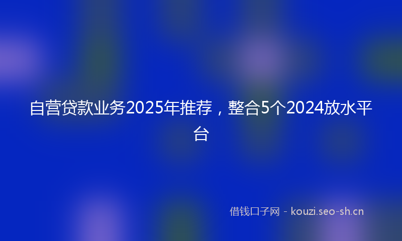 自营贷款业务2025年推荐，整合5个2024放水平台