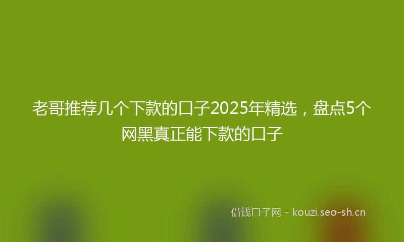 老哥推荐几个下款的口子2025年精选，盘点5个网黑真正能下款的口子