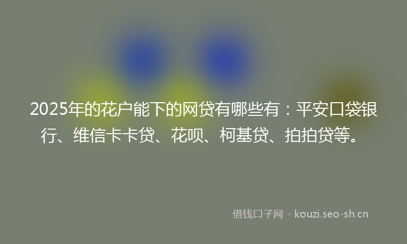 2025年的花户能下的网贷有哪些有：平安口袋银行、维信卡卡贷、花呗、柯基贷、拍拍贷等。