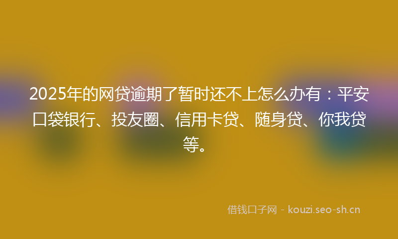 2025年的网贷逾期了暂时还不上怎么办有：平安口袋银行、投友圈、信用卡贷、随身贷、你我贷等。