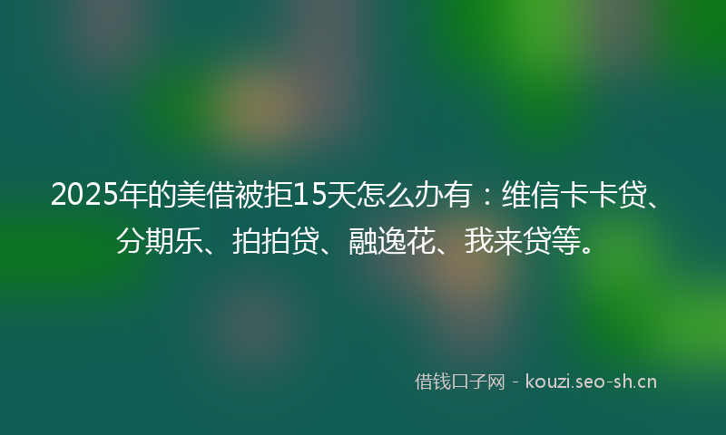 2025年的美借被拒15天怎么办有：维信卡卡贷、分期乐、拍拍贷、融逸花、我来贷等。