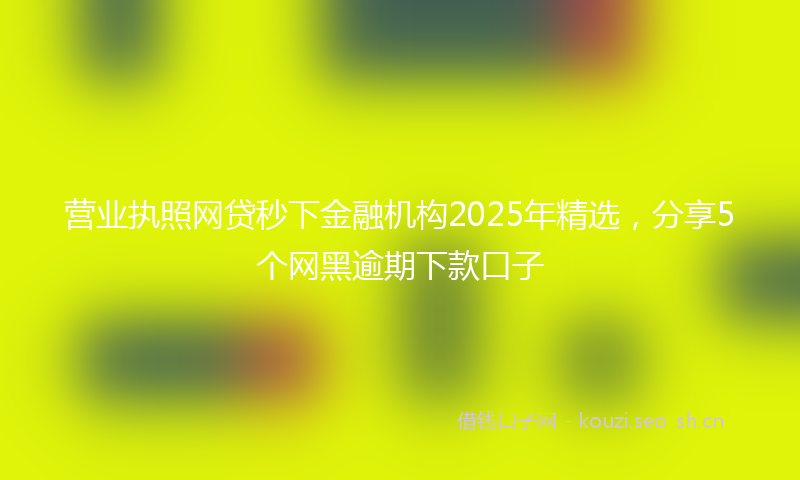 营业执照网贷秒下金融机构2025年精选，分享5个网黑逾期下款口子