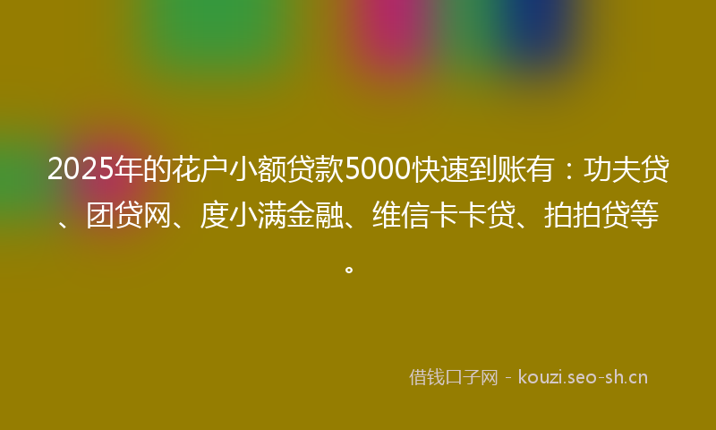 2025年的花户小额贷款5000快速到账有：功夫贷、团贷网、度小满金融、维信卡卡贷、拍拍贷等。