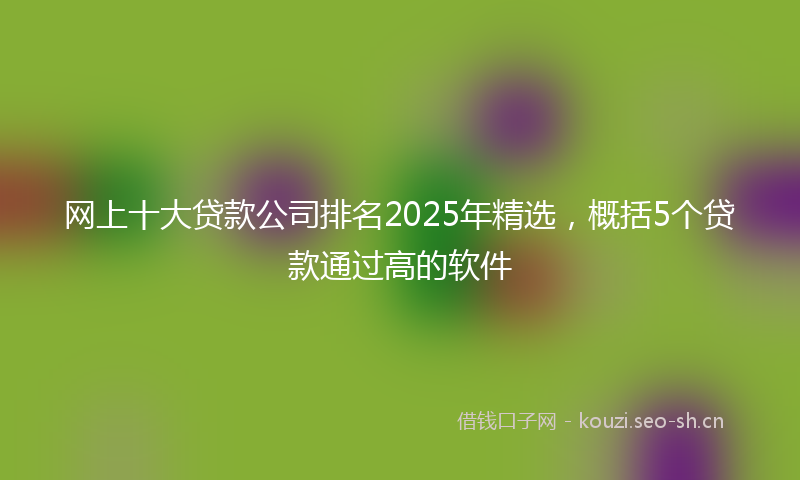 网上十大贷款公司排名2025年精选,概括5个贷款通过高的软件