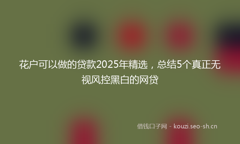 花户可以做的贷款2025年精选，总结5个真正无视风控黑白的网贷