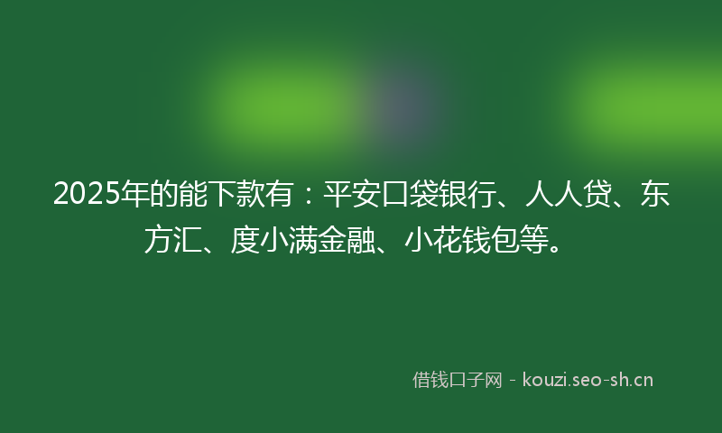 2025年的能下款有：平安口袋银行、人人贷、东方汇、度小满金融、小花钱包等。