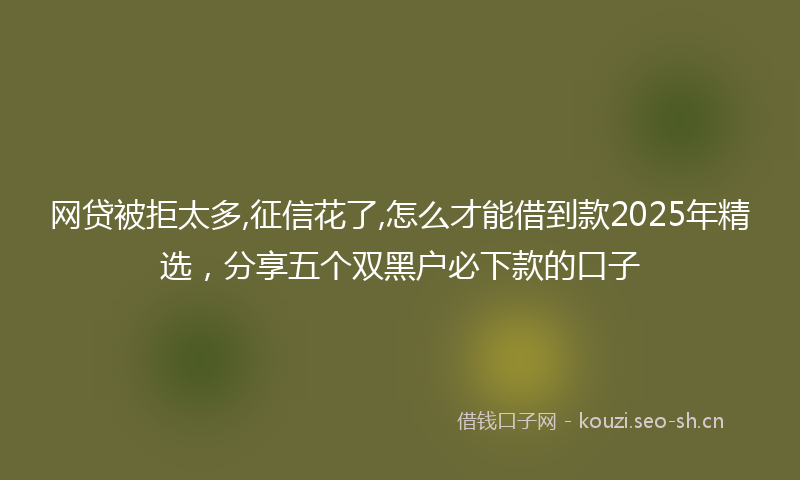 网贷被拒太多,征信花了,怎么才能借到款2025年精选，分享五个双黑户必下款的口子