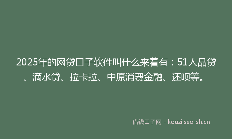 2025年的网贷口子软件叫什么来着有：51人品贷、滴水贷、拉卡拉、中原消费金融、还呗等。