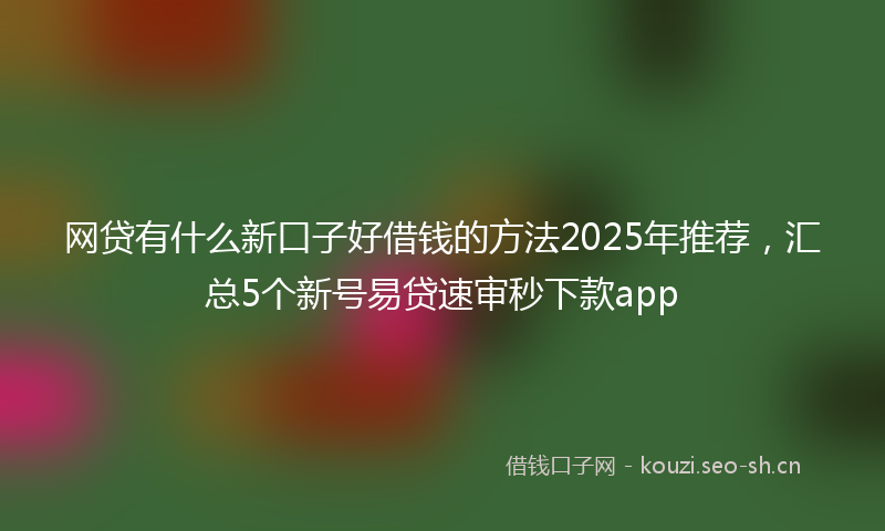 网贷有什么新口子好借钱的方法2025年推荐，汇总5个新号易贷速审秒下款app