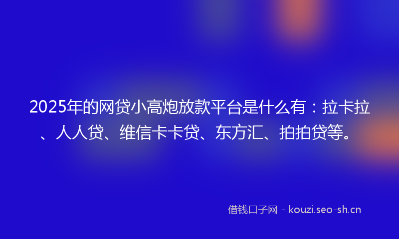 2025年的网贷小高炮放款平台是什么有：拉卡拉、人人贷、维信卡卡贷、东方汇、拍拍贷等。