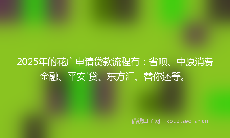 2025年的花户申请贷款流程有：省呗、中原消费金融、平安i贷、东方汇、替你还等。