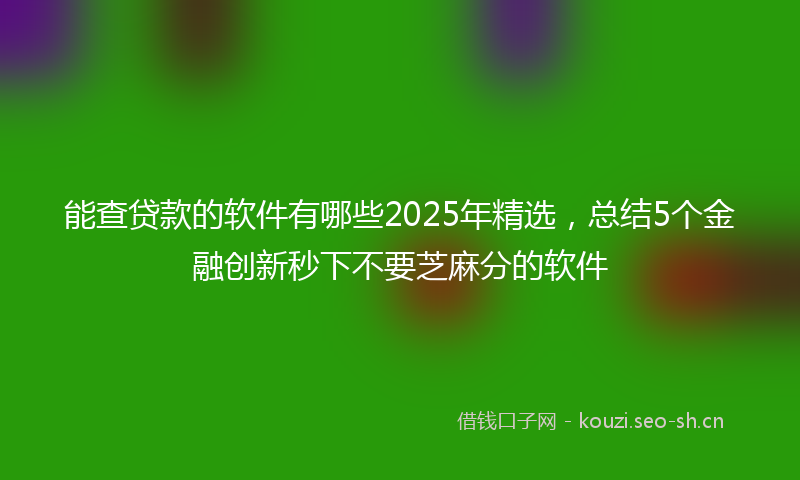 能查贷款的软件有哪些2025年精选，总结5个金融创新秒下不要芝麻分的软件
