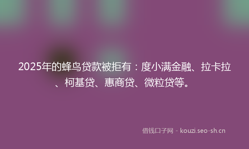2025年的蜂鸟贷款被拒有：度小满金融、拉卡拉、柯基贷、惠商贷、微粒贷等。