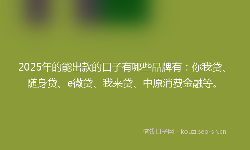 2025年的能出款的口子有哪些品牌有：你我贷、随身贷、e微贷、我来贷、中原消费金融等。