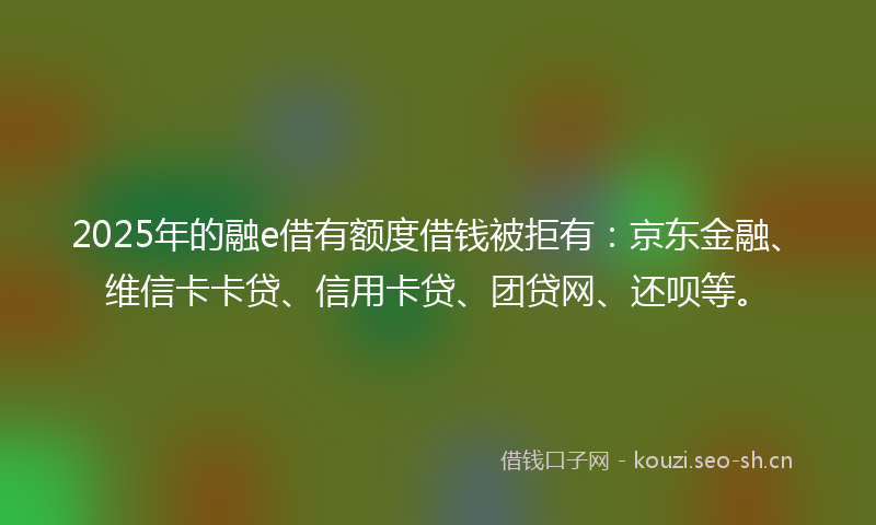 2025年的融e借有额度借钱被拒有：京东金融、维信卡卡贷、信用卡贷、团贷网、还呗等。