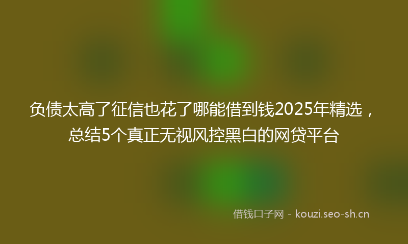 负债太高了征信也花了哪能借到钱2025年精选，总结5个真正无视风控黑白的网贷平台