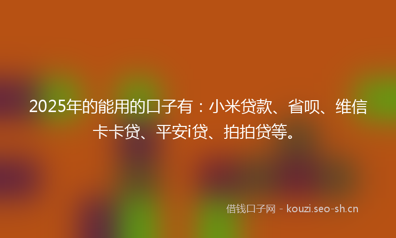 2025年的能用的口子有：小米贷款、省呗、维信卡卡贷、平安i贷、拍拍贷等。