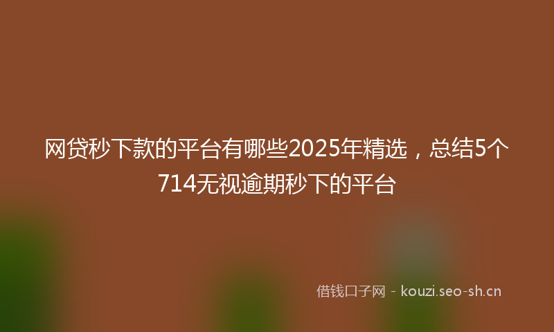 网贷秒下款的平台有哪些2025年精选，总结5个714无视逾期秒下的平台